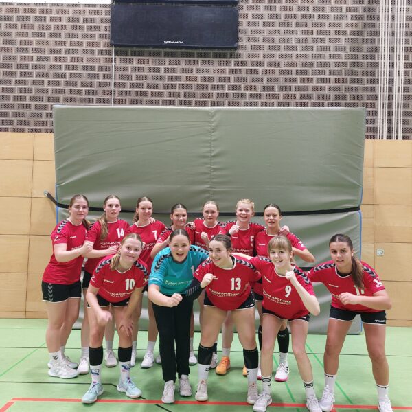 HSG Bad Wildungen/Friedrichstein/Bergheim : HSG Wesertal 18 : 24 (7 : 12)